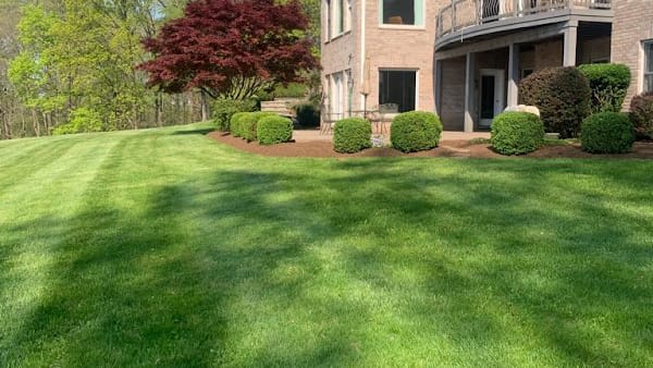 Carmona's Lawn Care & Tree Services LLC