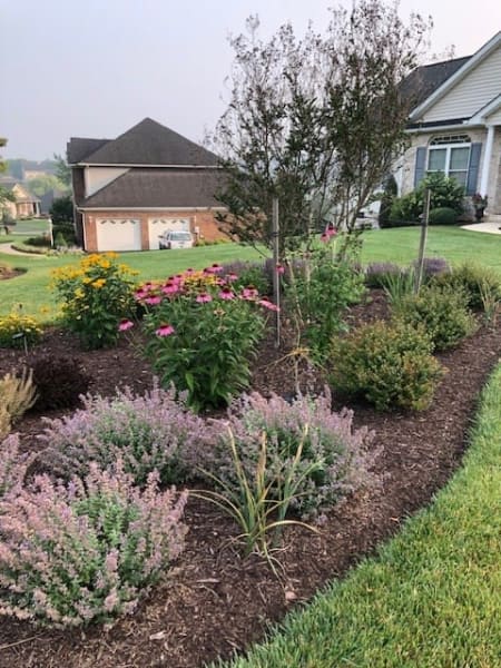 Williams Brothers Tree & Lawn Service