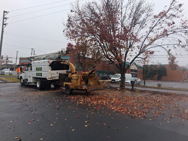 Meadows Tree Service LLC