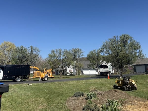 ER Tree Services LLC