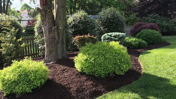 J&J Landscaping LLC Harrisonburg VA