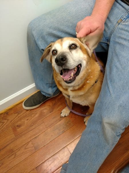 Lovingston Veterinary Hospital