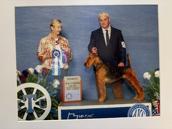 Lexington Pet Place Grooming