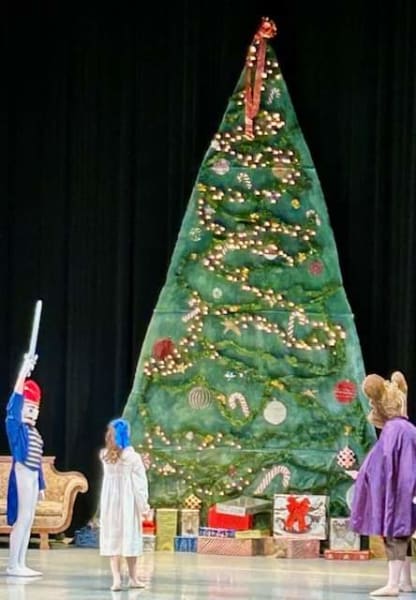 Shenandoah Academy of Dance