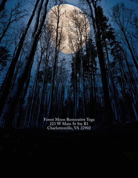 Forest Moon Restorative Yoga