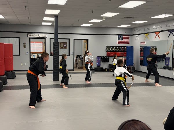 American Freestyle Karate