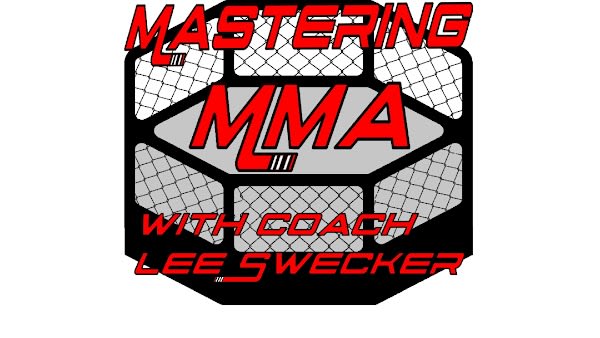 Mastering MMA a MMA Institute affiliate