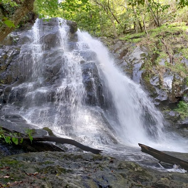 Jones Run Falls Trailhead