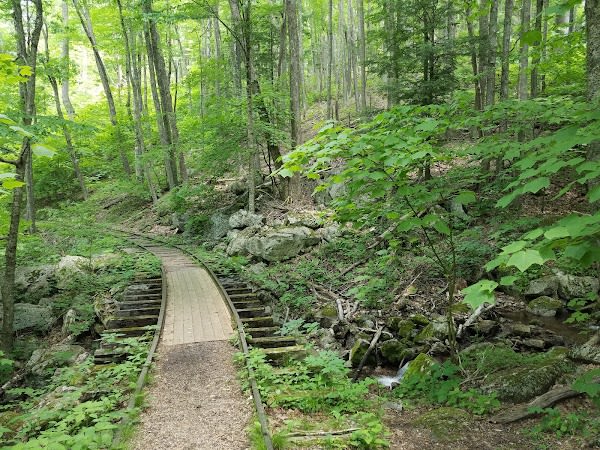 Yankee Horse Ridge Trailhead to Wigwam Falls