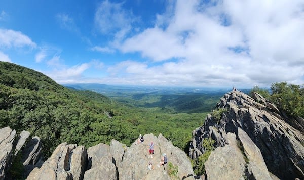 Humpback Gap Overlook