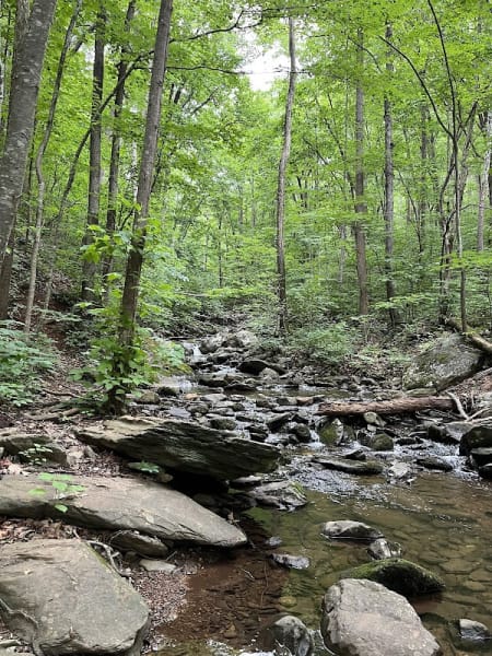 Pauls Creek Trail in Wintergreen