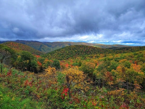 Bald Mountain Overlook/Big Levels 4x4 Trail - Southern Trailhead
