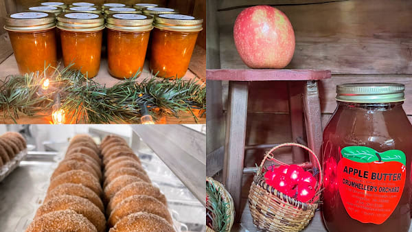 Drumheller's Orchard