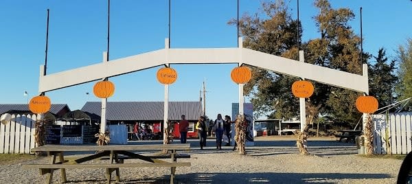 Chesterfield Berry Farm