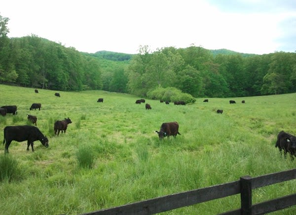 Highland Orchard Farm