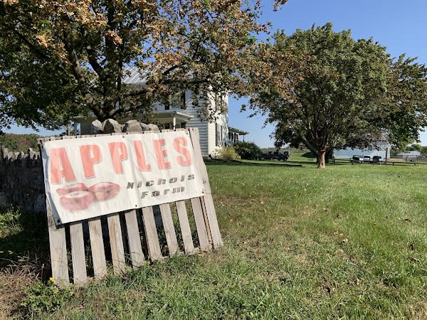 Apple Orchard