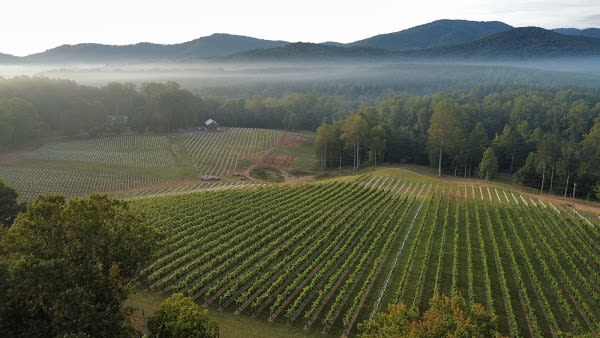 Waverly Farms