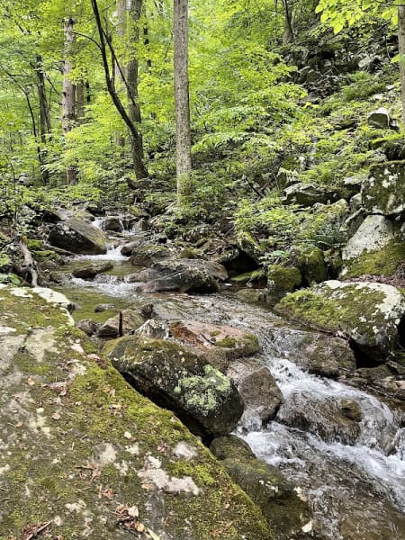 Mountain Run Swimming Hole