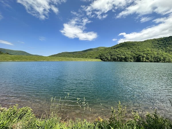 Switzer Lake