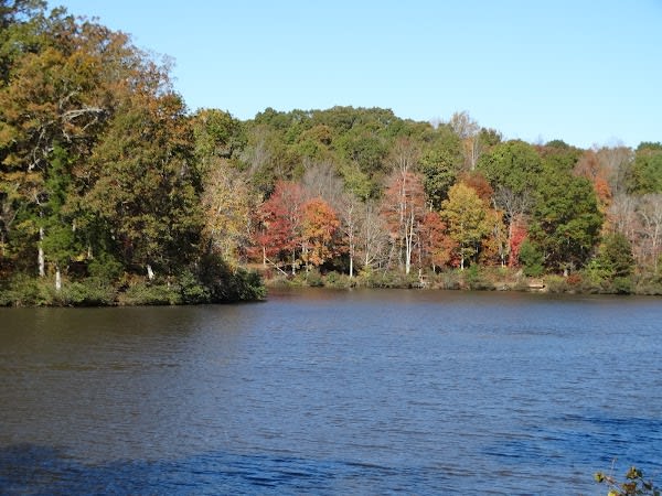 Twin Lakes State Park