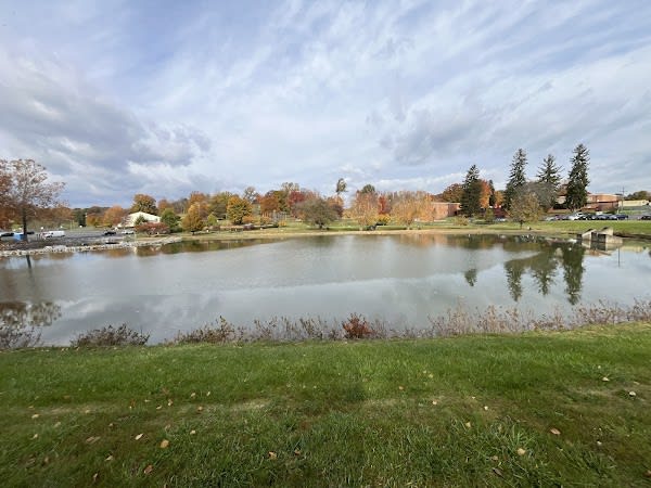 Lake Tams