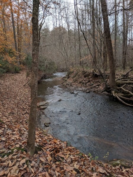 Walnut Creek Park