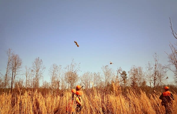 Rasawek Hunting Preserve