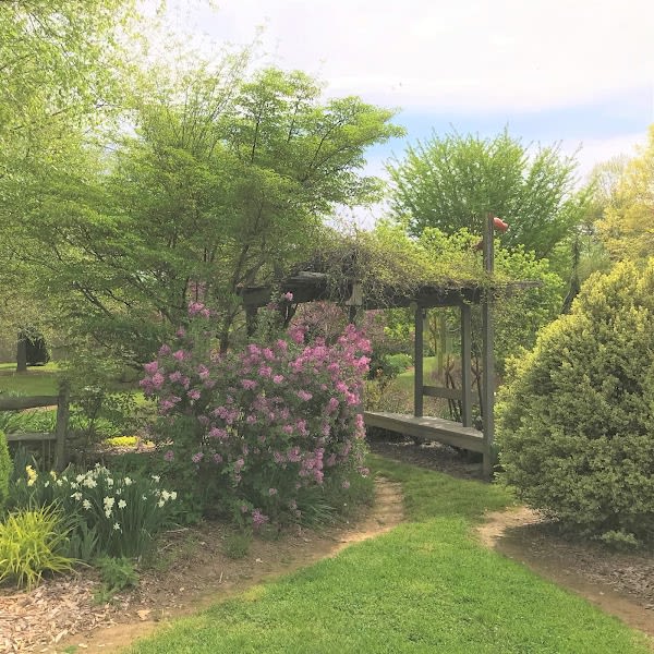 Birdsong Pleasure Garden