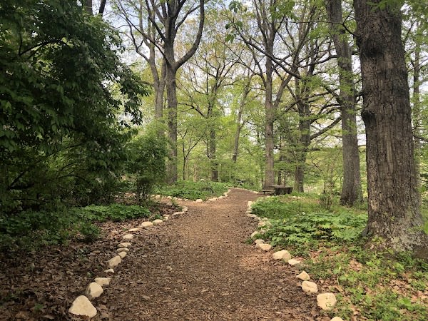 Mill Mountain Wildflower Garden