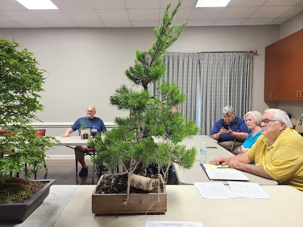 Roanoke Council-Garden Clubs