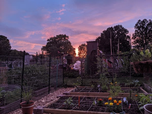 Golf Course Island Garden Plots
