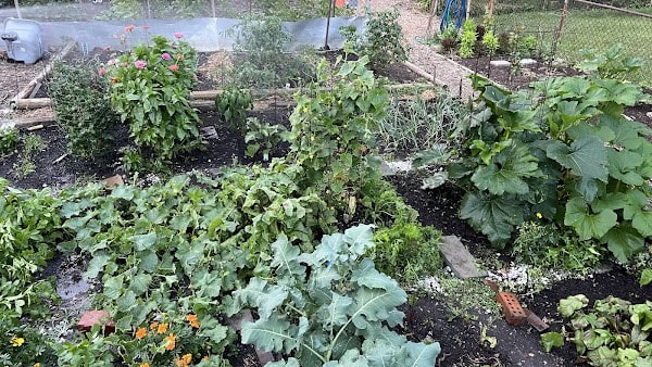 Lang Street Community Gardens