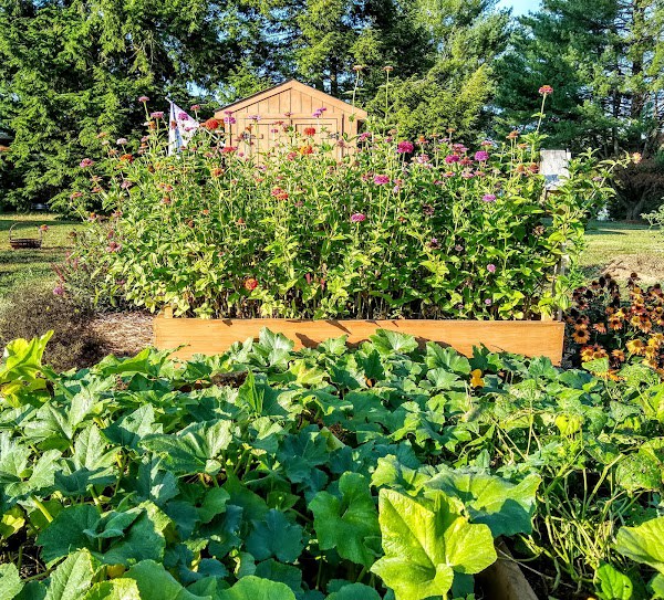 Remington Community Garden