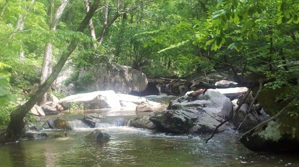 Earthwalk Ways LLC