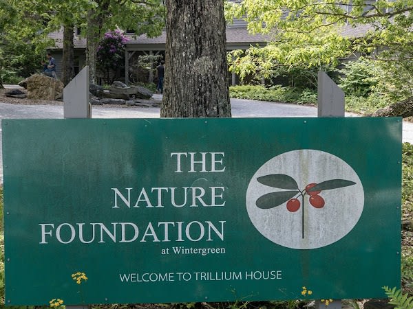 The Nature Foundation at Wintergreen