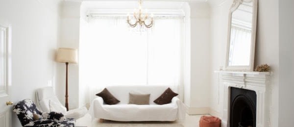 Charlotte Rays Commercial and Residential Cleaning