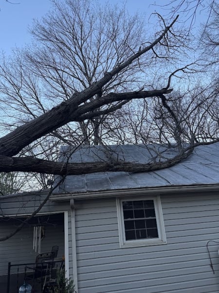 Adams Valley Tree Service