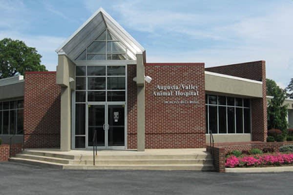 Augusta Valley Animal Hospital