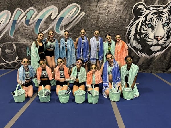 FIERCE ALL STARS