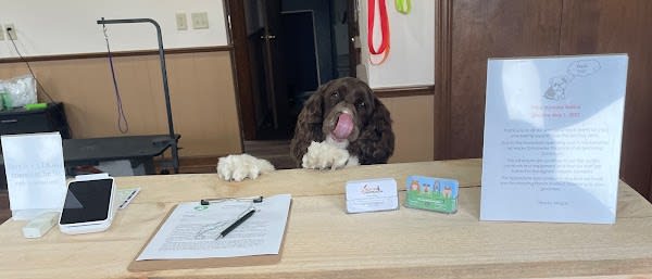 Pooch Purrfect Grooming