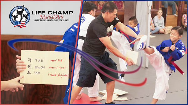 Life Champ Martial Arts of Lake Ridge