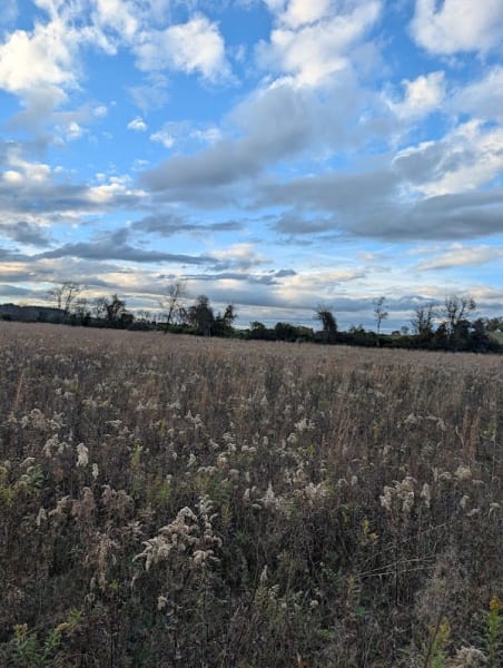Cowbane Prairie Natural Area Preserve