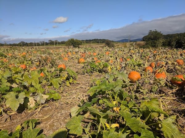 Middle River Farms