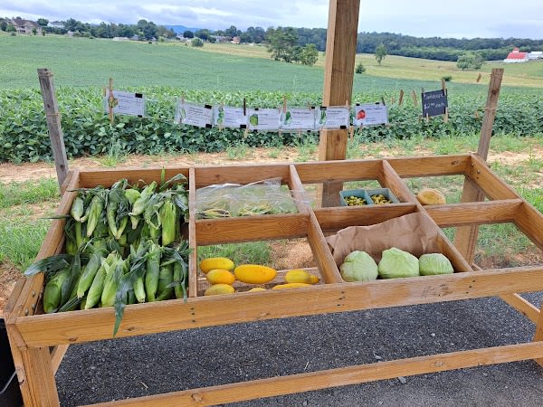 Simply Rooted Farm