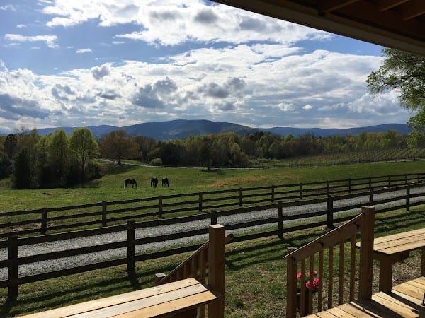 Knight's Gambit Vineyard
