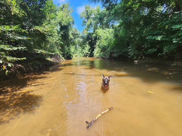 Moores Creek Park