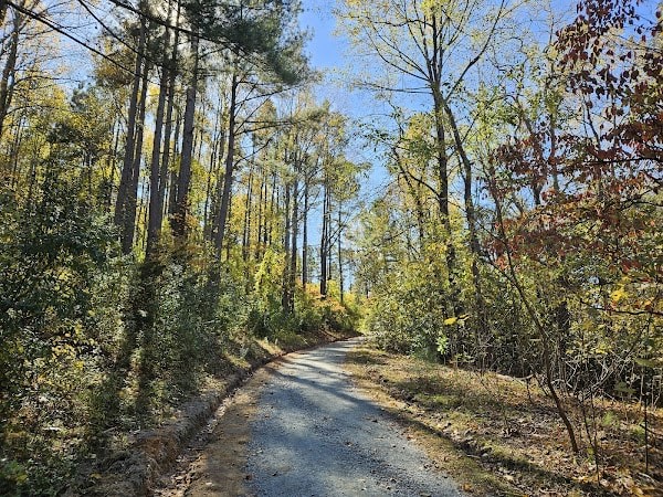 Carter Overlook