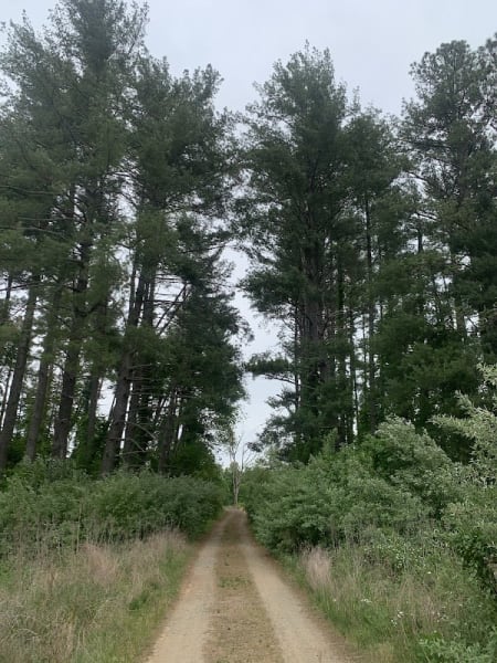 Rivanna Trail