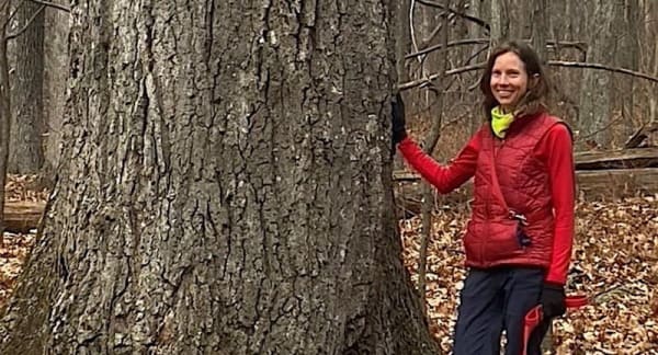 Guided Tree Walk: Hickories, Oak and Pines - Oh My!