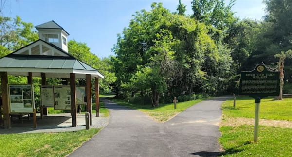 Guided Walk: Springtime in the Forest at Ivy Creek